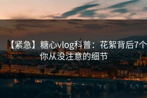 【紧急】糖心vlog科普：花絮背后7个你从没注意的细节