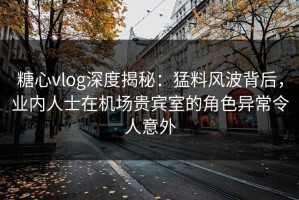 糖心vlog深度揭秘：猛料风波背后，业内人士在机场贵宾室的角色异常令人意外