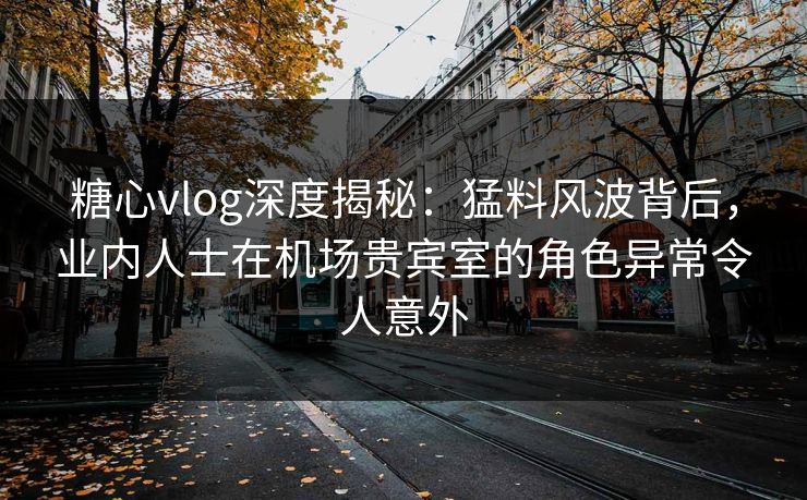 糖心vlog深度揭秘：猛料风波背后，业内人士在机场贵宾室的角色异常令人意外
